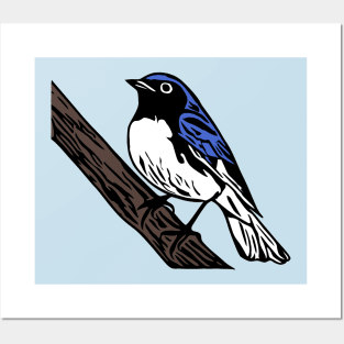 Black-Throated Blue Warbler Posters and Art